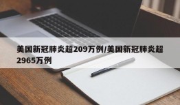 美国新冠肺炎超209万例/美国新冠肺炎超2965万例