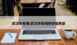 武汉市疫情/武汉市疫情防控指挥部