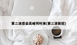 第二波感染高峰何时来(第二波新冠)