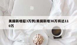美国新增超3万例/美国新增36万将达110万